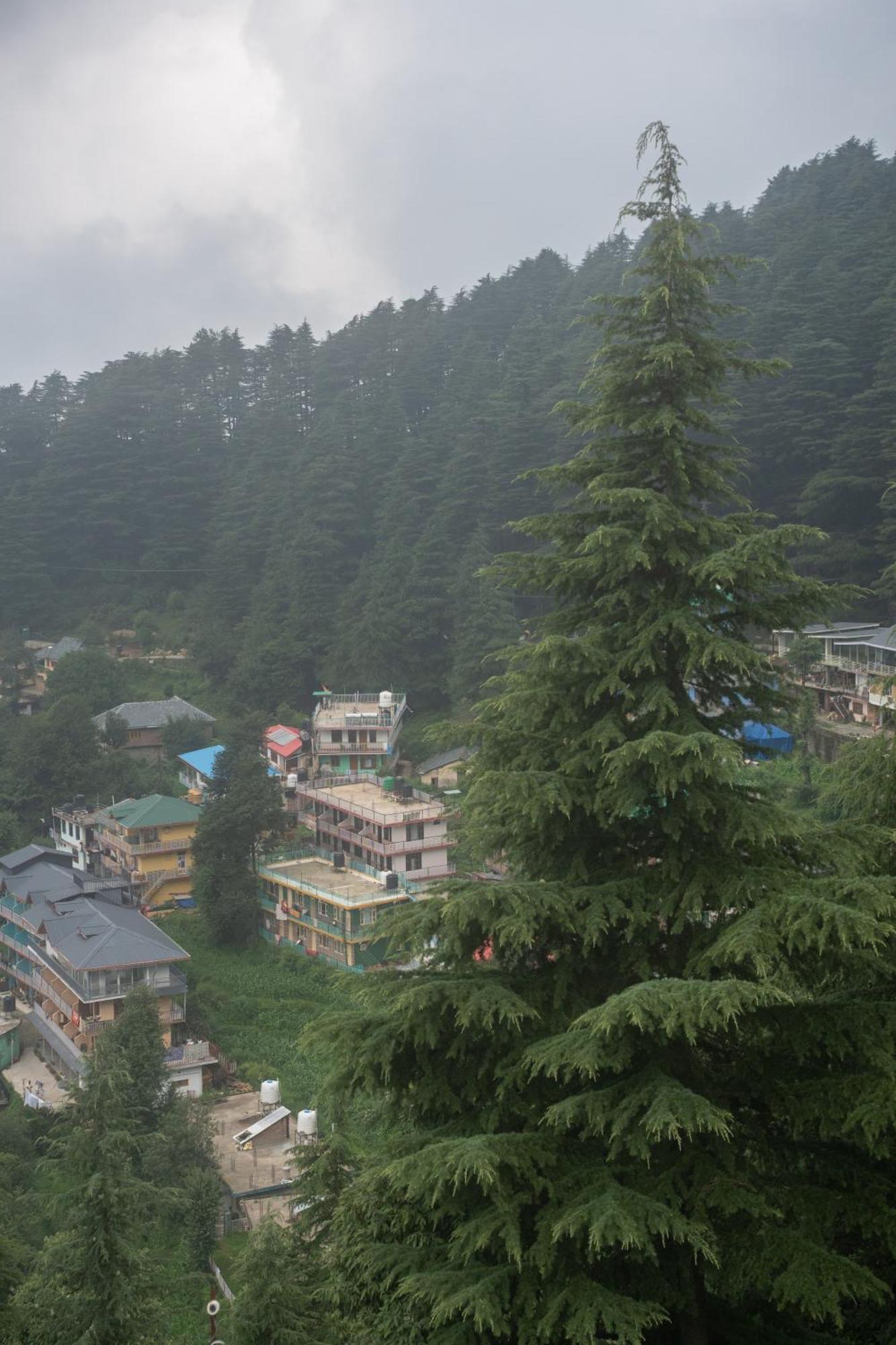 The Unmad - Dharamkot Bed & Breakfast Dharamshala Exterior foto